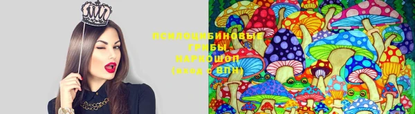 PSILOCYBIN Белоозёрский