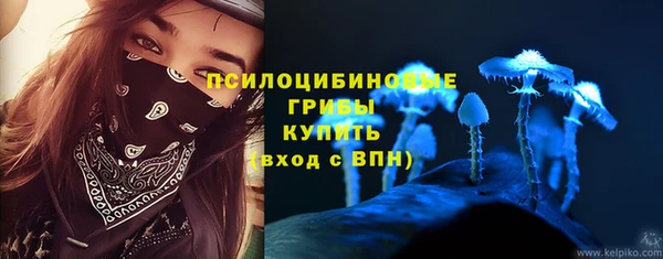 PSILOCYBIN Белоозёрский